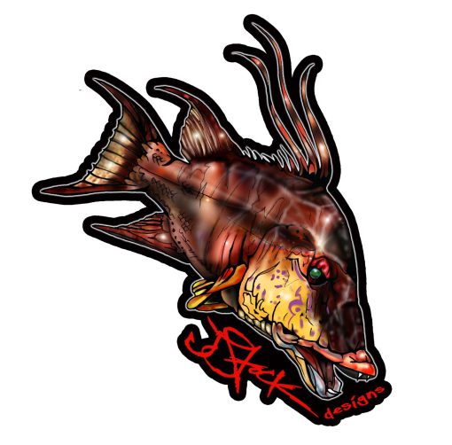 Hogfish Sticker: Black background with color illustration of a hogfish. Sticker diecut around illustrations.