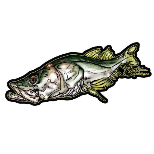 Snook Sticker: Black background with color snook illustration. Sticker diecut around illustrations.